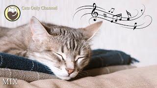 Deep Relaxation Music for Cats (with Cat Purring Sounds) - Stress and Anxiety Relief