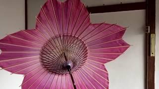 "Sakura-Wagasa" is a Japanese umbrella in the shape of cherry blossom. If you let the light through