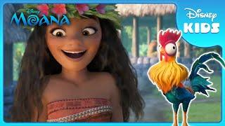 Heihei's Funny Moments!  | Moana | Disney Kids