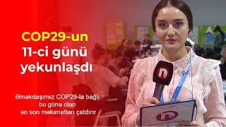 COP29-un 11-ci günü yekunlaşdı | Əməkdaşımız ən son məlumatları çatdırdı