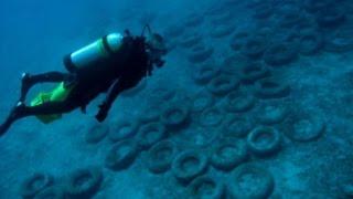 New Effort To Clean Up Undersea Tires Off Fort Lauderdale