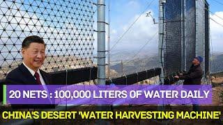 Miracle “water catcher” in the desert: 20 nets produce 100,000 liters of water a day !