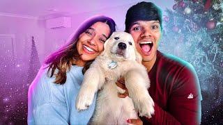 Did We Get A Dog  සිංහල vlog  | Yash and Hass