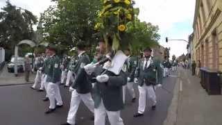 Schützenumzug Wevelinghoven am 24.8.2015