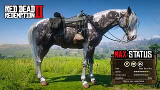 Top 5 Most Beautiful Horses - RDR 2