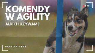 KOMENDY W AGILITY - CZY KAŻDY MA TAKIE SAME? JAKICH UŻYWAM I CO OZNACZAJĄ? | PAULINA I PSY