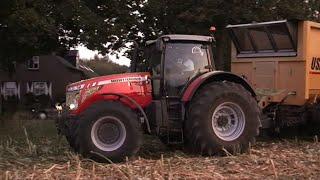 Maïs 2009 Van Bakel met Massey Ferguson 8690,USA Equipment 2000cf, Claas Jaguar 980, Fendt