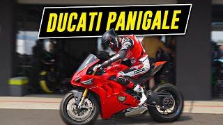 Ich fahre das Motorrad von meinem PAPA!  Ducati Panigale v4s