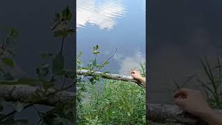Fishing Without A Pole 