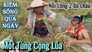 Nỗi lòng 2 bà cháu đùm bọc lẫn nhau ở nhờ trên mảnh đất người ta