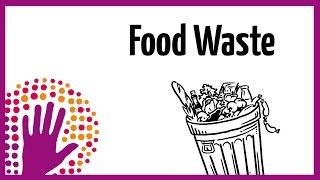 Food Waste - What You Should Know