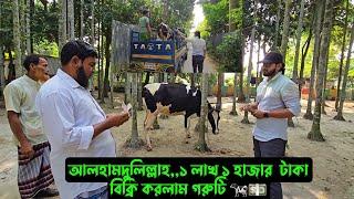 আলহামদুলিল্লাহ,,১ লাখ ১ হাজার  টাকা বিক্রি করলাম গরুটি 