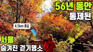  누구나 편하게 걸을 수 있는 4.5km 흙길 명소! 북한산 우이령길의 아름다운 가을을 보여드립니다^^ 맛있는 순두부와 콩비지/서울둘레길/걷기좋은길/서울가볼만한곳