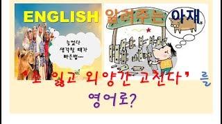 (영어 알려주는 아재) '소 잃고 외양간 고치다'를 영어로? 야 너두 영어 잘할수 있어.