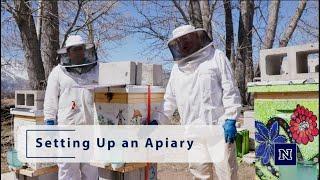 Beekeeping in Northern Nevada: Setting Up an Apiary