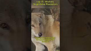 Top animals kill the most part 2 #topanimals  #shorrts  #trending