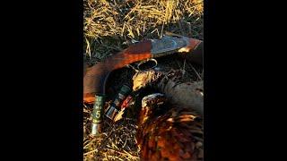 Charlie Faulds Driven pheasant hunting UK 2023