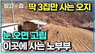 3대 오지 청송! 마트 한번 나가기 힘든 이곳에서 행복한 겨울을 나는 노부부｜한국기행｜알고e즘