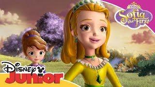 Sofia the First | Sofia Shows Amber She's a Hero | Official Disney Channel Africa