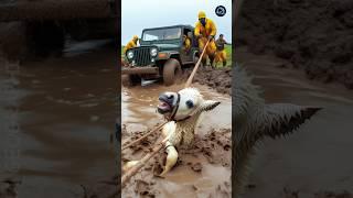 baby horse stuck in muddy field saved by his mother #humanity #horse #animals #funny #cartoon