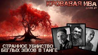 КАПИТАН ВОЛХОВ. ТРИЛЛЕР. УЖАСЫ. Глава 1. Страшные рассказы