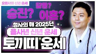 토끼띠 삼재 운세 2025년 신년운세.이것만 조심하면 걱정없다