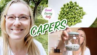 How Capers Are Made: Gourmet Salt-Cured Capers at Home  | My Italian Garden