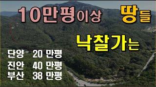 10만평이상 낙찰가 매각가,  경락가의  현실 가격,  대형임야 지역별 낙찰가