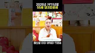 2025년 1971년생 55세 돼지띠의 평생운세!