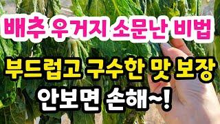 배추우거지 소문난 비법 구수하고 부드러운 맛 보장 시레기 1년 보관법 쉽고 맛있게 감칠맛 나는 뼈해장국 만드는법 #시골#텃밭#정원#건강#자연#웰빙요리#힐링#전원생활#친환경#농사