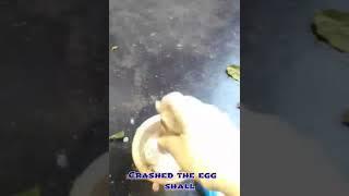 eggs shall ️for growing plants  #like#share#subcribe ,️