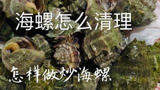 炒海螺｜海边检的海螺怎么清理｜Stir-fry conch ｜How to clean up the conch