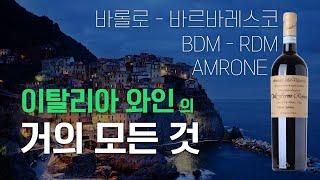 이탈리아 와인의 거의 모든 것 (바롤로,바르바레스코,BDM,아마로네)