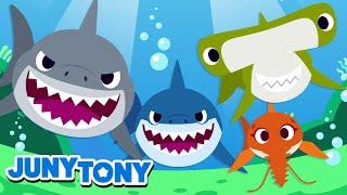 Canción de los Tiburones | Tipos de Tiburones | Amigos Bajo el Agua | JunyTony en español