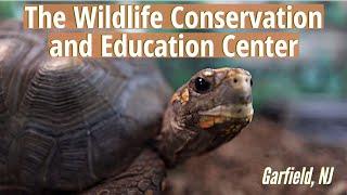 The WildLife Conservation & Education Center