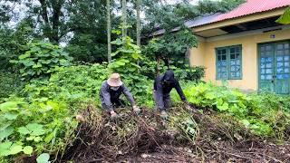 Dramatic transformation of overgrown front lawn - Satisfying abandoned house cleaning