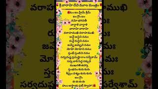 Varahi Moola Mantram #varahi #navratri #mantra 🪻🪷