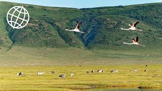 Ngorongoro Crater & Conservation Area, Tanzania  [Amazing Places 4K]