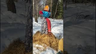 Масленица. Поход с детьми в Чеховский лес. 16.03.2024. с Клубом Увлечённых Природой, г. Чехов (КУП)