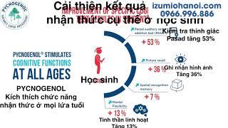 Pycnogenol cải thiện chức năng nhận thức