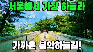 서울에서 이색적인 길을 찾고 계신가요?! - 북악하늘길(북악스카이웨이길) 트레킹 코스