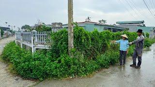 Woman Born Mute Burst Into Tears When I Helped Clean Overgrown Corridor Fence