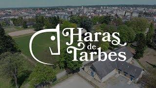 Haras de Tarbes