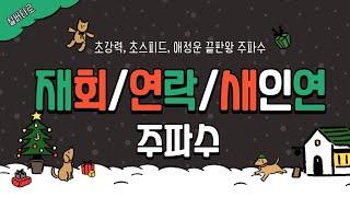 재회/연락/짝사랑/새인연 주파수모든 애정운 끝판왕, 초강력, 초스피드️캡션확인필수‼️