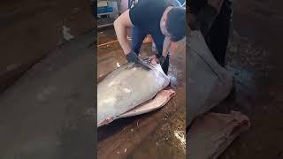 Carving A Whole Bluefin Tuna