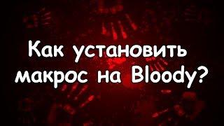 Как установить макросы на мышку Bloody ?