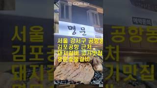 서울 강서구 공항동 김포공항 근처 돼지갈비 고기맛집 명문숯불갈비 #shorts