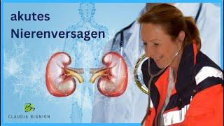 Alarmstufe Rot: Akutes Nierenversagen entschlüsselt - Prärenal, Renal, Postrenal (einfach erklärt)