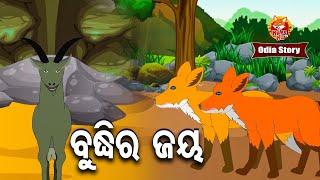 Budhi Ra Jay - ବୁଦ୍ଧିର ଜୟ | Odia Moral Story | Huke Hu TV