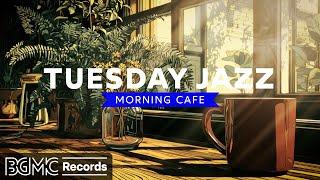  TUESDAY JAZZ: Relaxing Bossa Nova & Coffee Shop Jazz Music for Cozy Morning Ambience